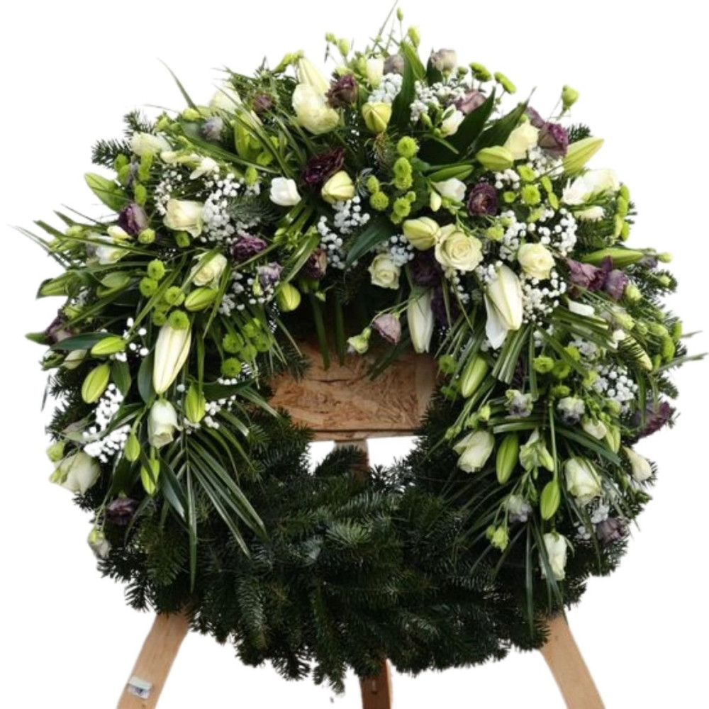 Veniec Sympathy elegant